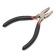 Fisheries Fisheries Direct Namazu, l = 115 mm