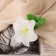 Artificial flowers "Hippeastrum" D-12 cm H-23 cm, white