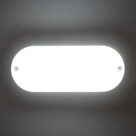 Oval lamp LED 10W IP65 white 6.8x6.8x17 cm-2