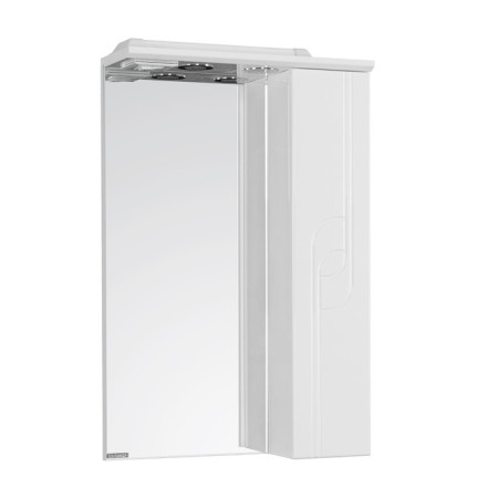 Panda 50 mirror