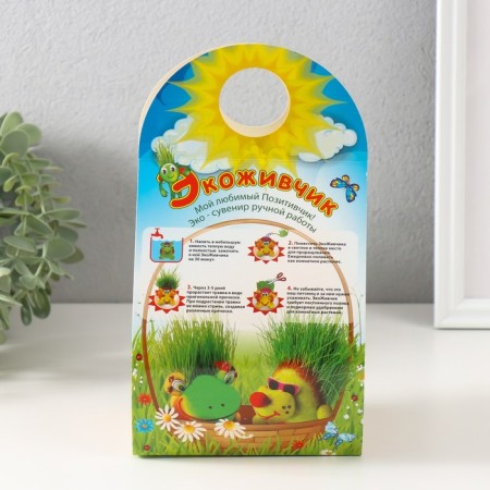 Growing gift Eco -Zemye Eco -Zmeye Green-6