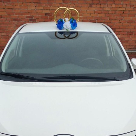 Rings on the roof "Wedding", white and blue-3