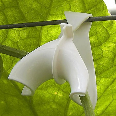 Castle for climbing plants, 6 cm, set of 5 pcs., White-5