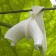 Castle for climbing plants, 6 cm, set of 5 pcs., White