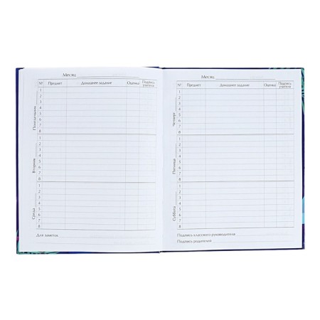 Diary for grades 5-11 "Modern wyb. Be cooler!", Firm cover, glossy lamination, 48 sheets-6