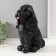 Piggy bank "Puppy Spaniel" (black), 24.5 cm