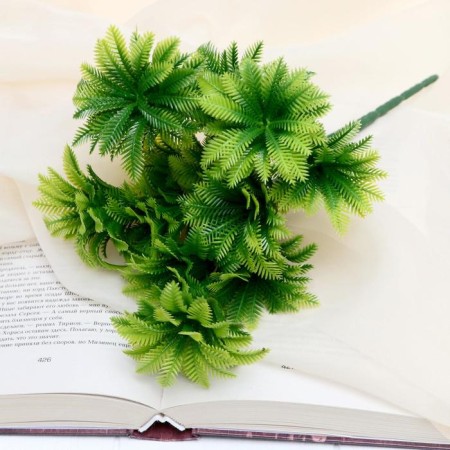 Bouquet "Araucaria Circular" 24 cm