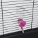 Drill for rodents 150 ml, 15 x 5.5 cm