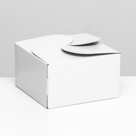Box under a bento-port without a window, white, 14 x 14 x 8 cm