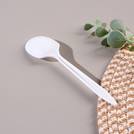 A disposable tablespoon “Bio Eco Standard S”, 14 × 3.5 cm, color mix-2