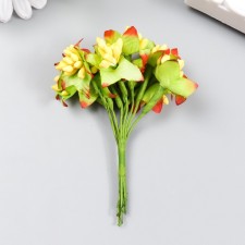 Flowers for decorating 