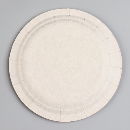 Disposable paper plate "Today you can do everything", 18 cm-3