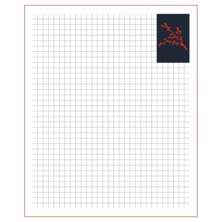 Notebook of 48 sheets in the cage "Anime. B/B", cover coated cardboard, matte lamination, selective UV-LK, design of the inner unit, offset-13