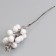 Decorative berries on a stick, white, 4.5 × 4.5 × 20 cm