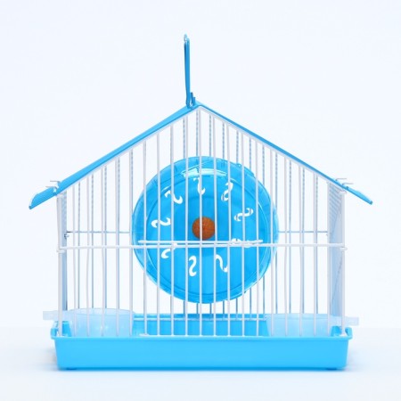 A cage for rodents equipped RT-2T, 22 x 16 x 20 SMA, blue (packaging 30 pcs)-1