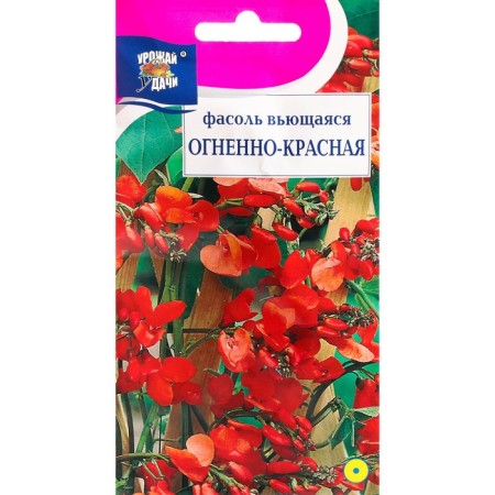 Flowers of beans "Blaging", fiery red, 5 g