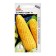 Corn seeds "Summer Svit" F1 5pcs* Economy