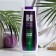 Healthy Happy Hair, Color Lock, 250 g's hair shampoo, 250 g