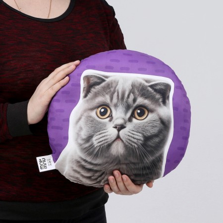 Pillow "British"-6