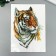 Tattoo on the body color "Amur tiger" 21x15 cm