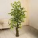 Artificial maple "Maple" 155 cm