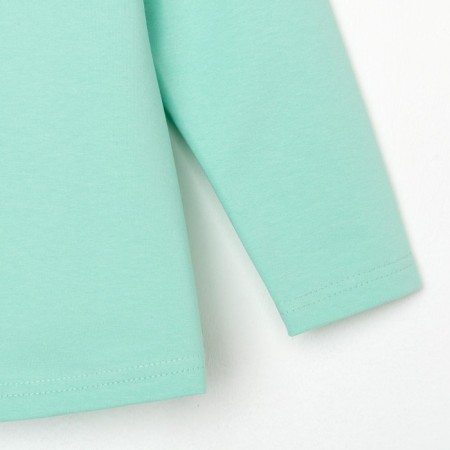 Sweatshirt for the girl KAFTAN "Basic Line" size 30 (98-104), mint color-9