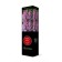 Ordinary Lilac "Dream" 1 pc, tube, spring 2025