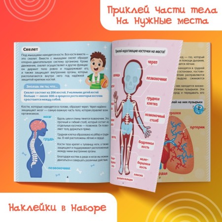 Stickers "How my body works", 16 p.-5
