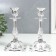 Summary Metal "Ludwig" set 2 pcs Color silver 19x10x10 cm