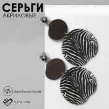 Acryl Earrings 