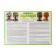 Magnetic game "Apple tree. Seasons"