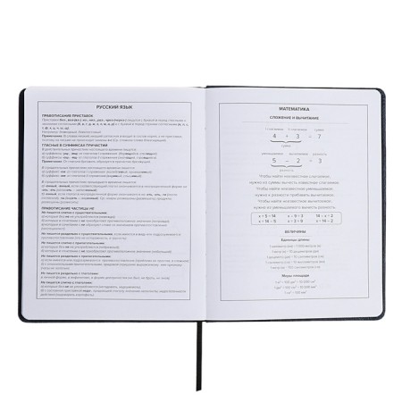 School diary for grades 1-11, "Rage of Katana", hard cover, artificial leather, lies, universal cheat sheets, 48 ​​sheets, block 80g/m2-10