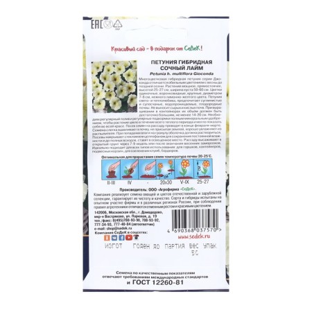 Seed Flower Petunia "Juicy Lime" F1 1. 5 pieces-1