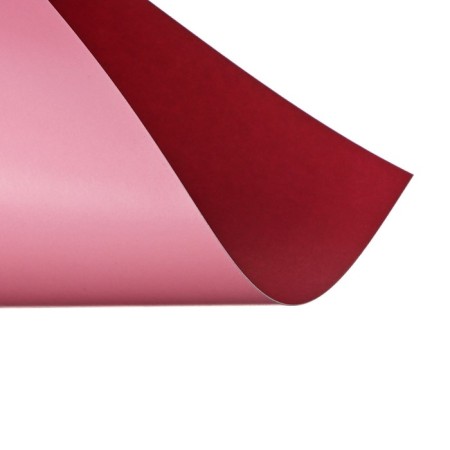 Cardboard two -sided A4, 10 sheets, 20 colors, calligrata top shared 230 g/m2, in folder-3
