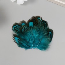 Decorative pheasant feather 