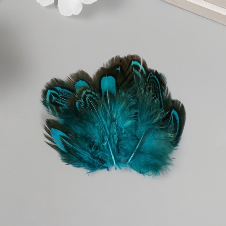 Decorative pheasant feather "Rice. Blue" set 20 pcs h = 5-7 cm
