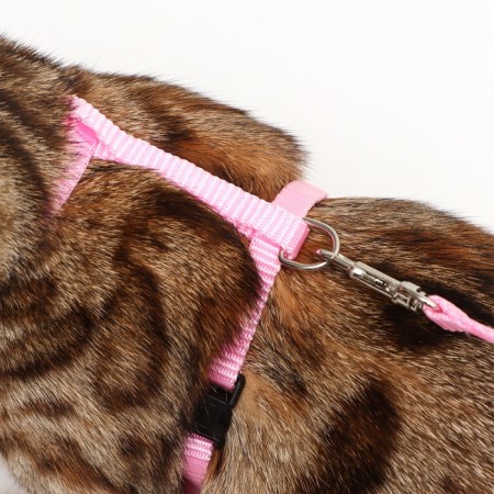 Kit for cats, width 1 cm, Osh 16.5-27 cm, fire 21-35 cm, leash 120 cm, pink-8