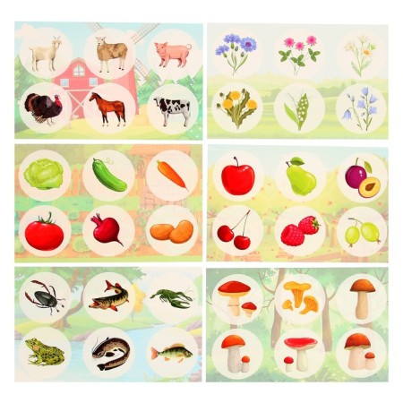 Lotto "Summer in the village"-5