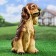 Garden figure "dog spaniel" red "red, 35x25cm