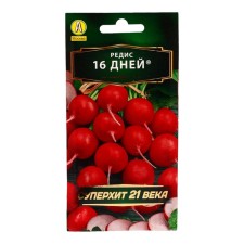 Seeds Radis 