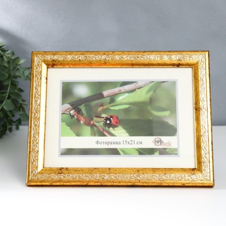 Photo frame plastic 15x21 cm 2315-1127-5