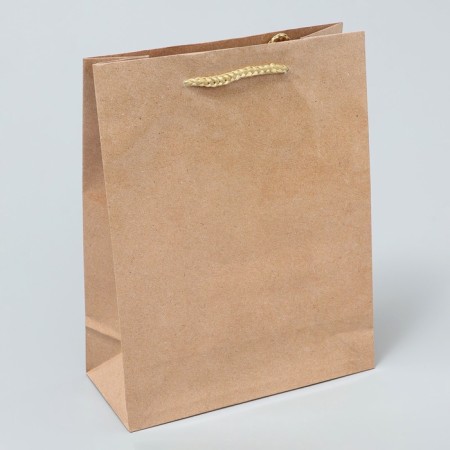 Gift Package Laminated, Packaging, Kraft, MS 18 x 23 x 8 cm-2