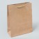 Gift Package Laminated, Packaging, Kraft, MS 18 x 23 x 8 cm