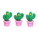 Figure eraser "Cactus", mix