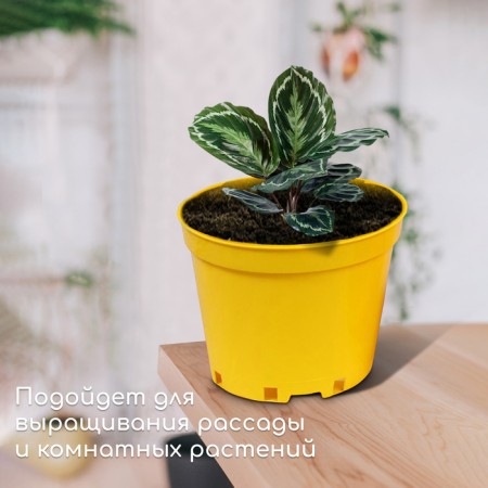 Pot for seedlings, 5 l, d = 22 cm, h = 18 cm, yellow, greengo-2