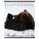 A notebook of 96 sheets in a cage, Erichkrause "Bears", glossy lamination, whiteness 100%, mix