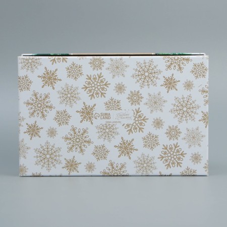 Gift Box "New Year", 24 x 15.5 x 9.5 cm, New Year-4