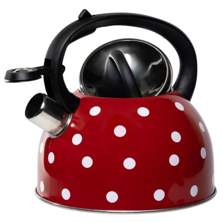 OLAFF kettle, 2.5 l-1