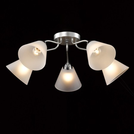 Chandelier "Tenderness", size 70x25x70 cm, 300W 5xe27 IP 20-1