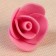 A set of colors for decor from foamiran, d = 2 cm, 10 pcs, pink